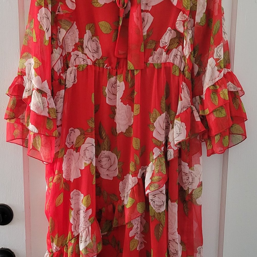 Gorgeous Zara Red Floral Dress - Size XL
